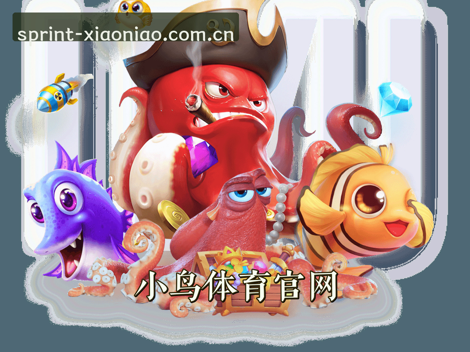 关于我们关于我们